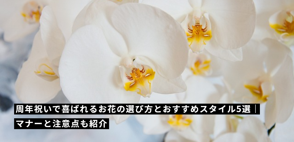 周年祝いで喜ばれるお花の選び方とおすすめスタイル5選｜マナーと注意点も紹介