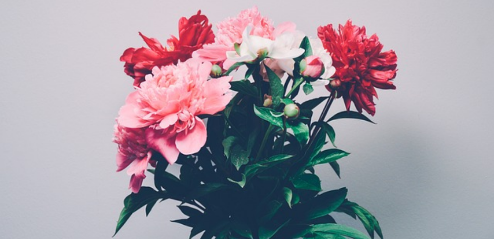 周年祝いにお花を贈るメリット